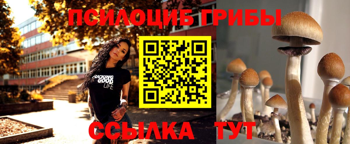 Псилоцибиновые грибы ЛСД Кохма