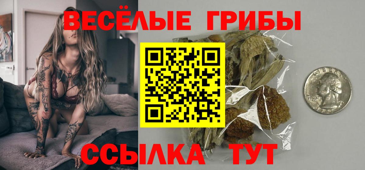 Псилоцибиновые грибы MAGIC MUSHROOMS  Псилоцибиновые грибы Cubensis  Кохма  Вход с VPN 